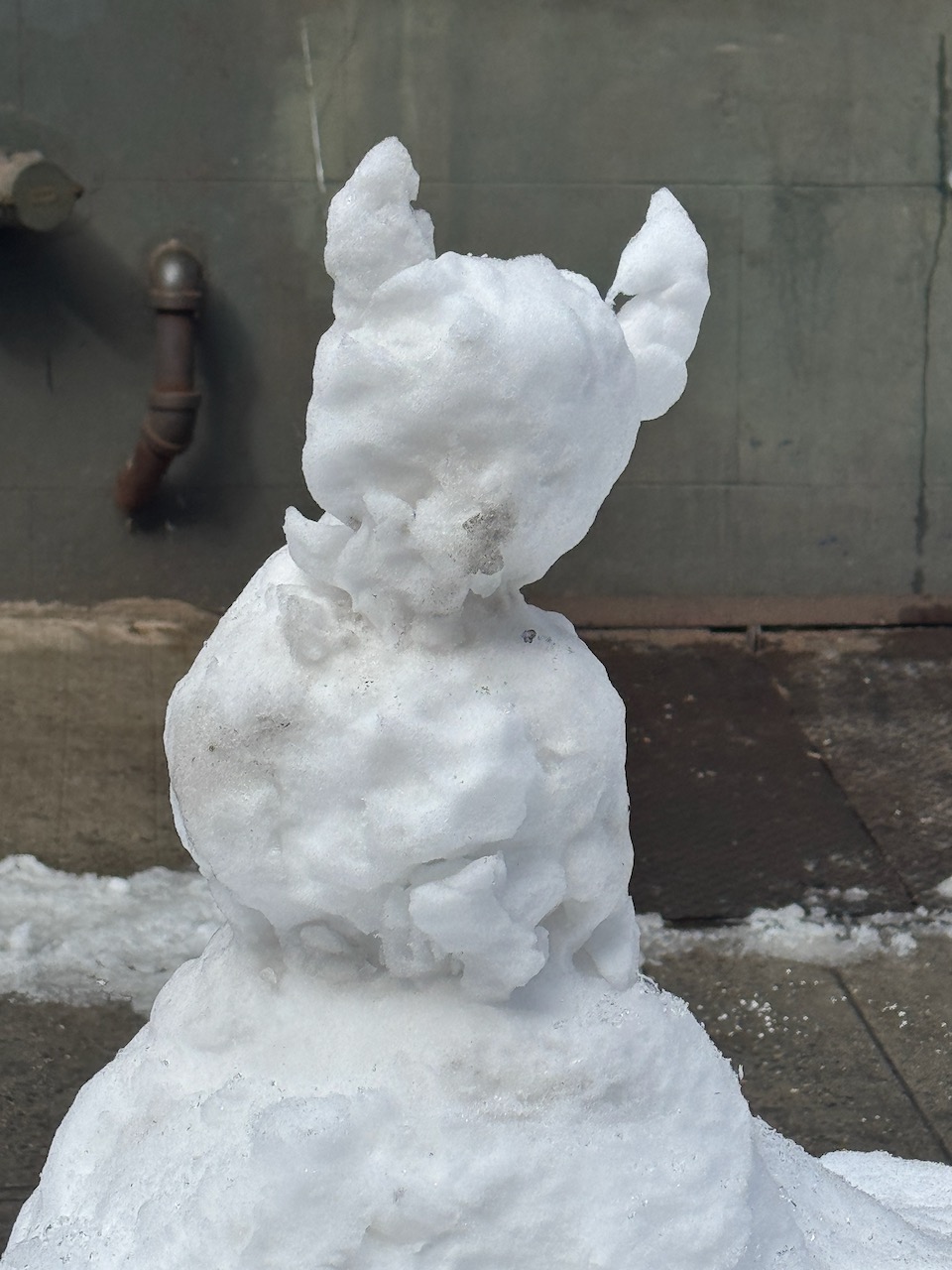 How Disinformation Gets Life